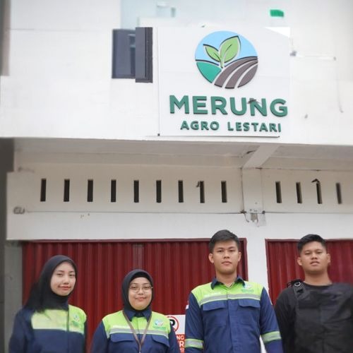 Tentang PT. Merung Agro Lestari